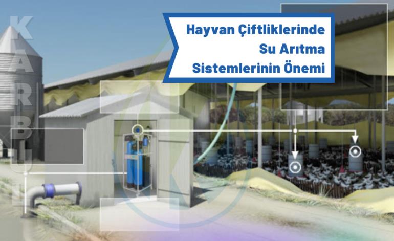 Hayvan Çiftliklerinde Su Arıtma Sistemlerinin Önemi