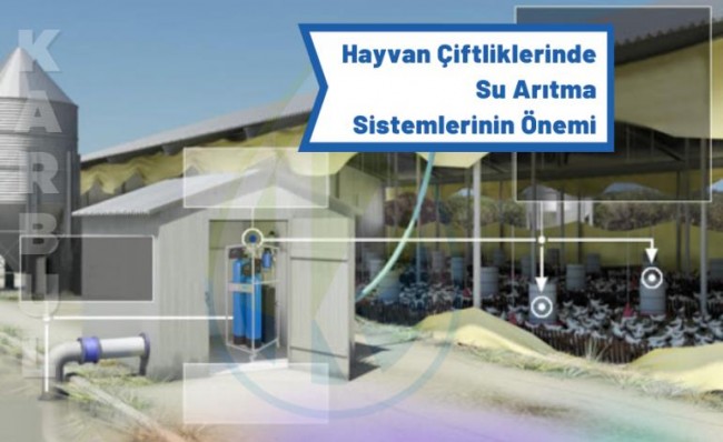 Hayvan Çiftliklerinde Su Arıtma Sistemlerinin Önemi